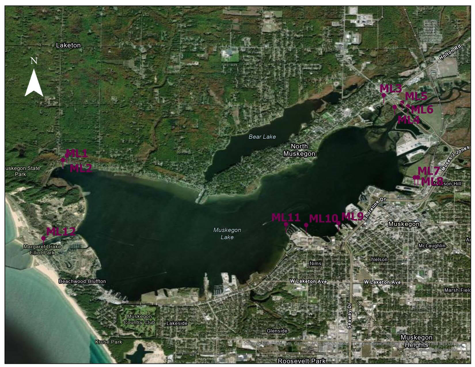 Muskegon Lake survey sites on an aerial map of the lake.